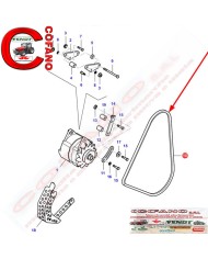 Cinghia trapezoidale Agco alternatore XPA 1307 MF 3600