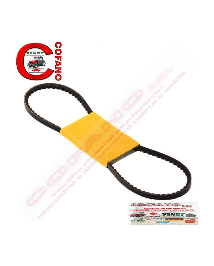 Cinghia AVX10 x 1238 mm