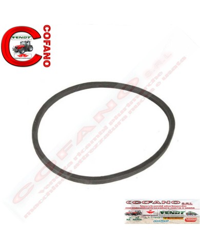 Cinghia 17 x 1005 mm MF 35-702-FE35-TE20-TEF20