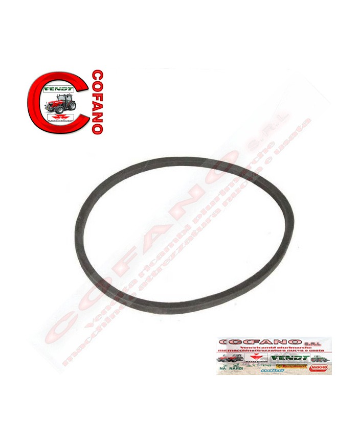 Cinghia 17 x 1005 mm MF 35-702-FE35-TE20-TEF20