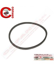 Cinghia 17 x 1005 mm MF 35-702-FE35-TE20-TEF20