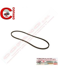 Cinghia 13x1618 mm 3617184M91 Massey Ferguson 3600-8100