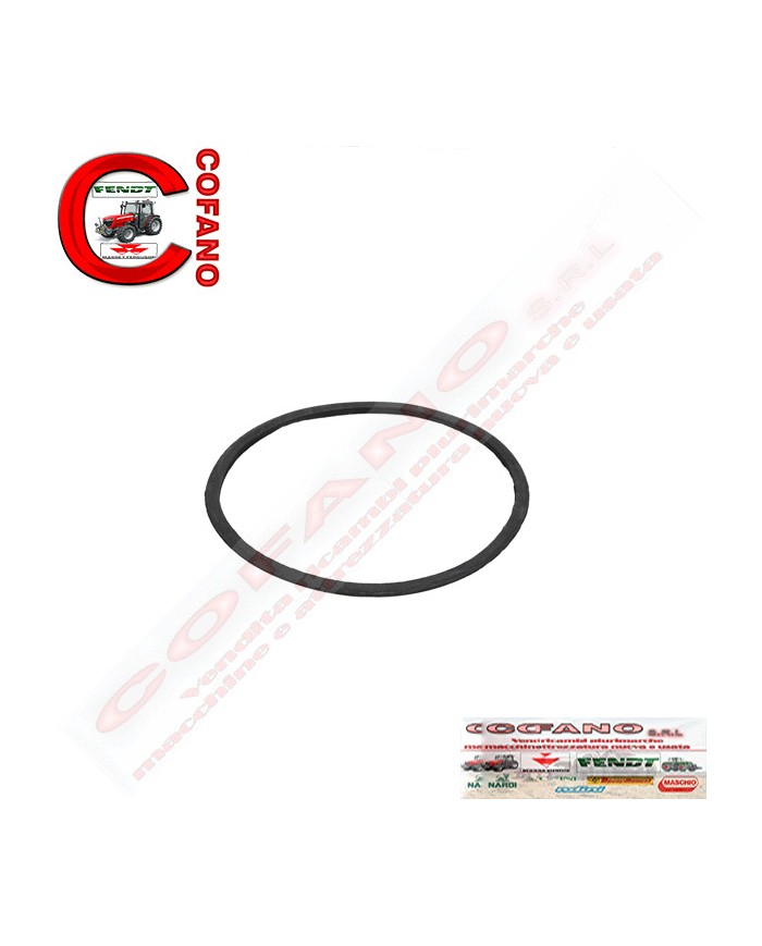 Guarnizione filtro a bagno olio Agco 1425919M1