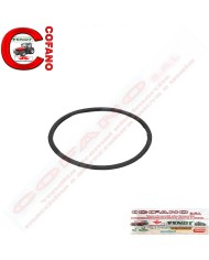 Guarnizione filtro a bagno olio Agco 1425919M1