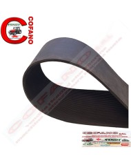 Cinghia Poly-V Largh. 76 x 4 mm