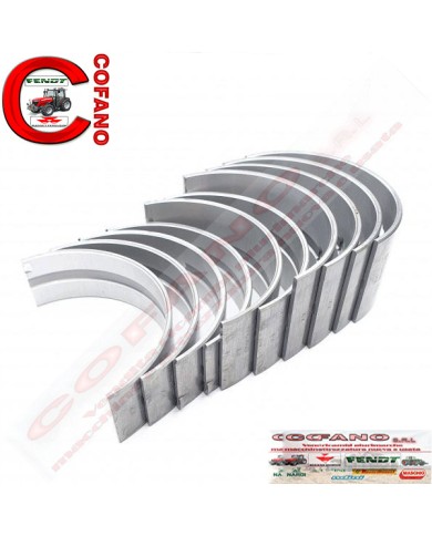 Kit cuscinetti Agco MF 100-200-300-500 Landini Perkins