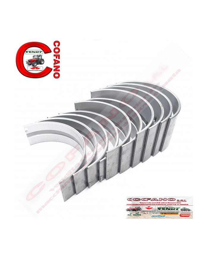 Kit cuscinetti Agco MF 100-200-300-500 Landini Perkins