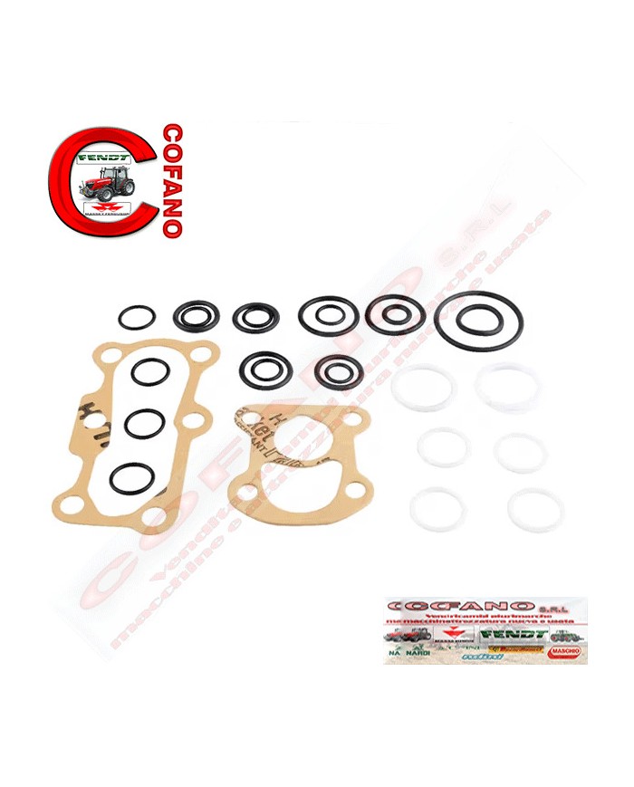 Kit revisione pompa sollevatore MF 100-200-300-500-600