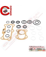 Kit revisione pompa sollevatore MF 100-200-300-500-600