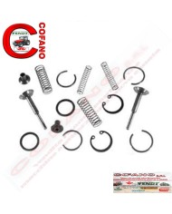 Kit riparazione pompa idraulica Massey Ferguson