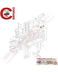 Dado testa bordato AD3.152