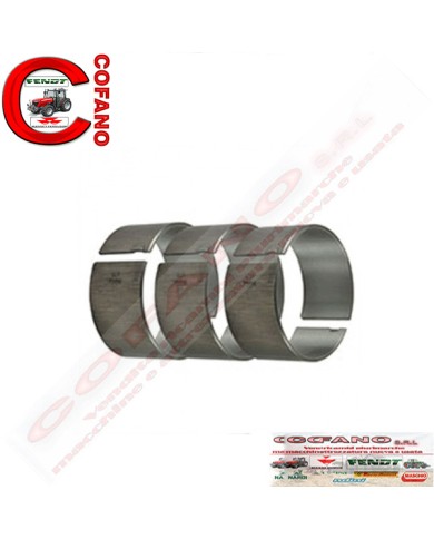 Kit cuscinetti Massey Ferguson 3 cil. codice 3637509M91