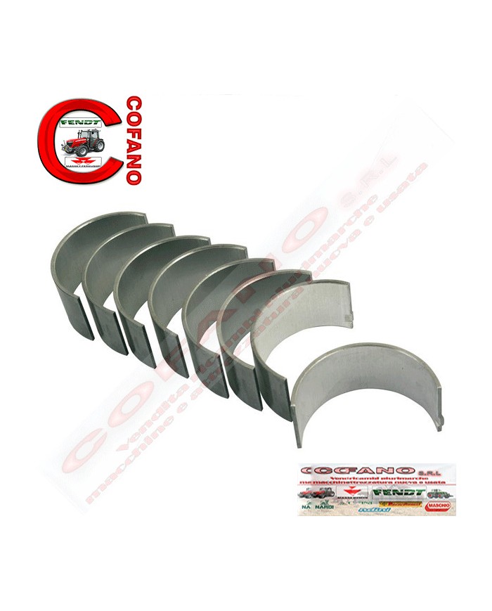 Agco Kit cuscinetti 737069M91 - 0.75 mm Agco Kit cuscinetti 737069M91 - 0.75 mm