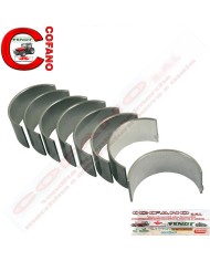 Agco Kit cuscinetti 737069M91 - 0.75 mm Agco Kit cuscinetti 737069M91 - 0.75 mm