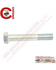 Bullone 5/8' x 5-1/2' UNF Lunghezza 137 mm Bullone 5/8' x 5-1/2' UNF Lunghezza 137 mm