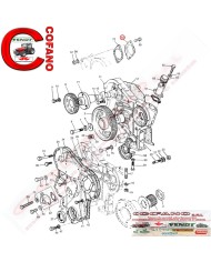 Coperchio pompa servosterzo 37461104 MF 100-200-2000-300-500 Coperchio pompa servosterzo 37461104 MF 100-200-2000-300-500
