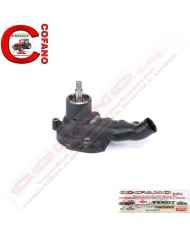 Pompa acqua Agco V836764206 MF 3600