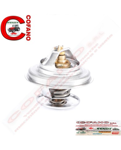 Termostato F119202050030 Agco Fendt 300
