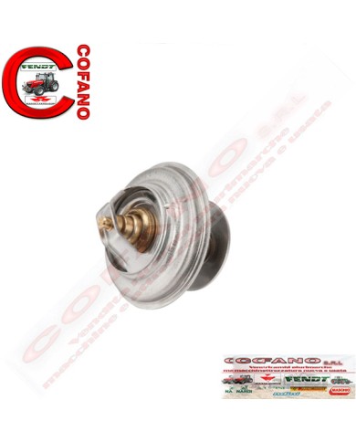 Termostato F119202050030 Agco Fendt 300