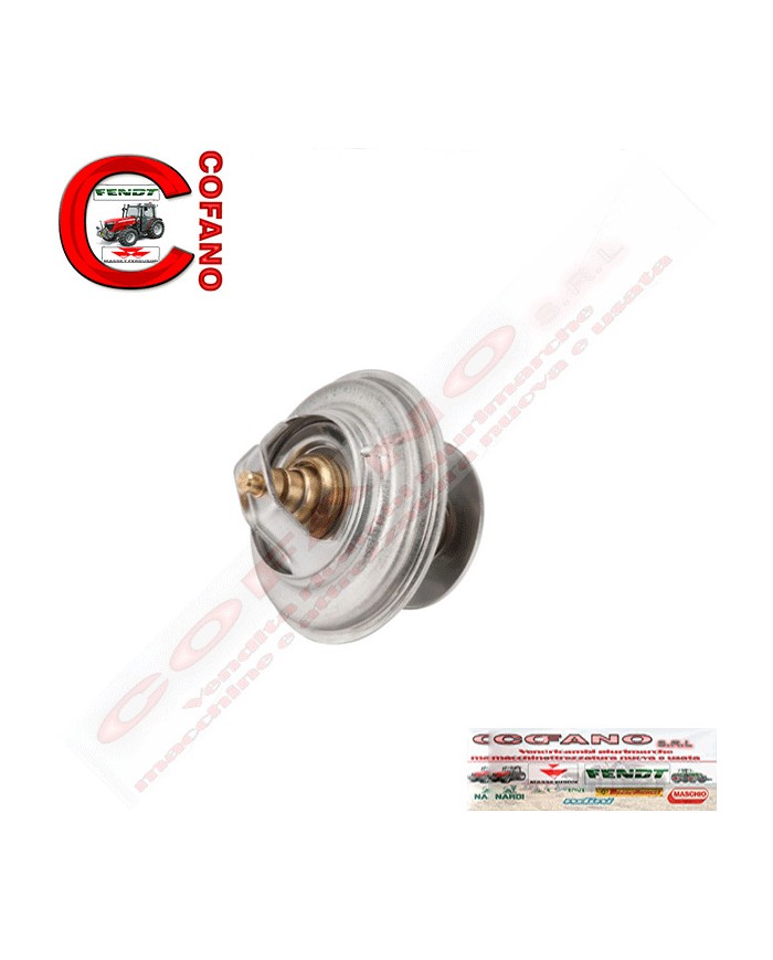 Termostato F119202050030 Agco Fendt 300