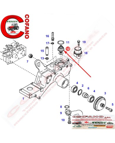 Termostato F119202050030 Agco Fendt 300