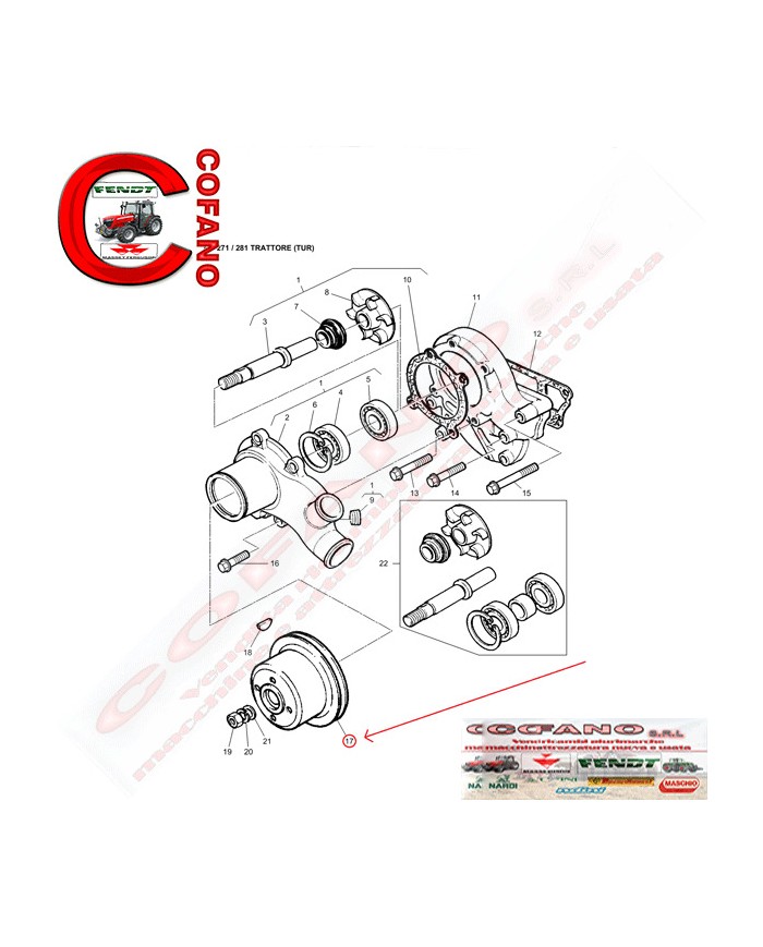 Puleggia pompa dell'acqua Perkins 3113V021 MF