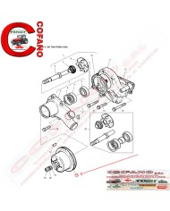 Puleggia pompa dell'acqua Perkins 3113V021 MF