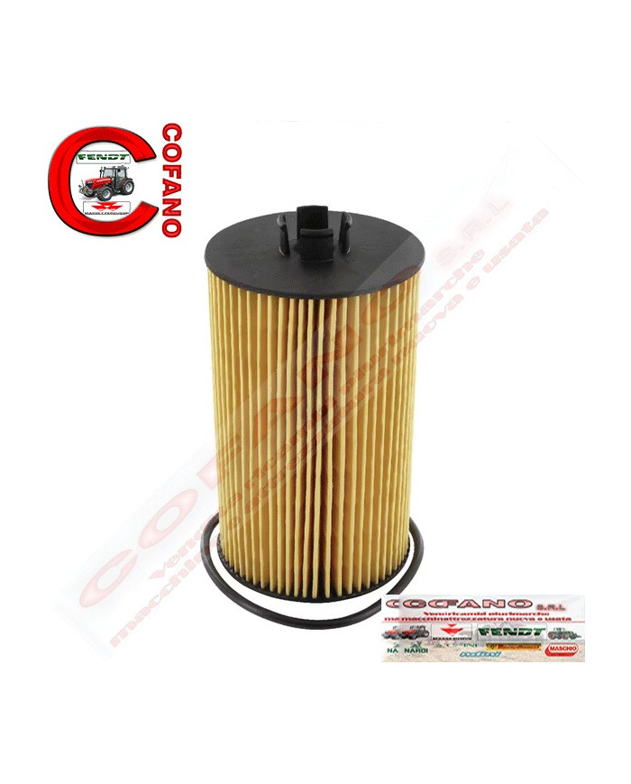 Filtro olio Donaldoson P550768 Fendt