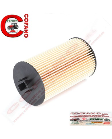 Filtro olio Agco F411201510010 Fendt Filtro olio Agco F411201510010 Fendt