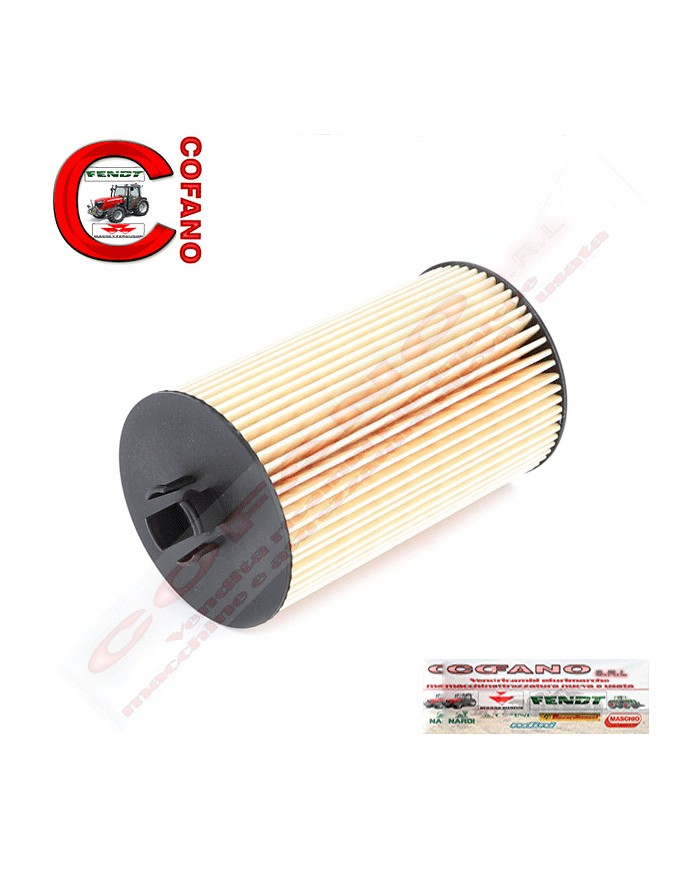 Filtro olio Agco F411201510010 Fendt