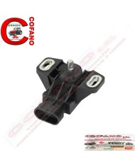 Sensore ad angolo Agco G916971020034 Fendt MF