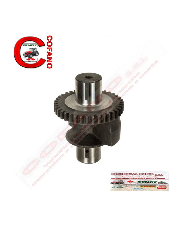 Ingranaggio peso bilanciatore Z16 Massey Ferguson - 3116K004