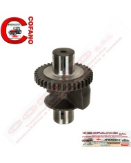Ingranaggio peso bilanciatore Z16 Massey Ferguson - 3116K004