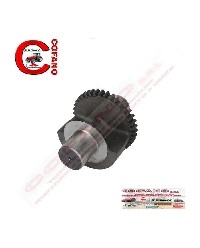 Ingranaggio peso bilanciatore Z16 Massey Ferguson - 3116K004
