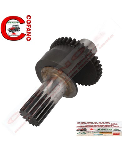 Ingranaggio peso di bilanciamento Z17 Massey Ferguson - 3116K014