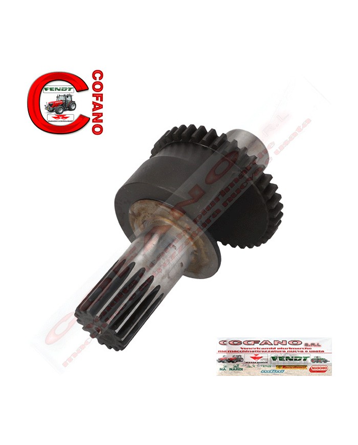 Ingranaggio peso di bilanciamento Z17 Massey Ferguson - 3116K014