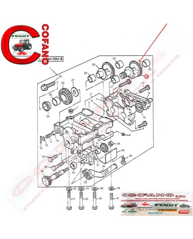 Ingranaggio peso di bilanciamento Z17 Massey Ferguson - 3116K014