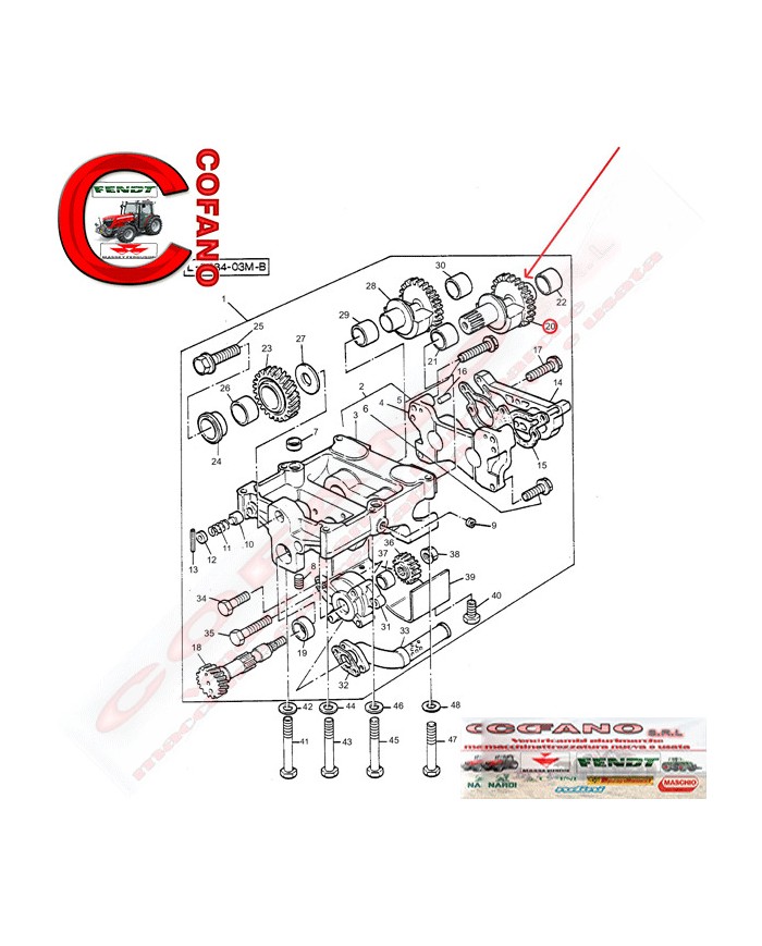 Ingranaggio peso di bilanciamento Z17 Massey Ferguson - 3116K014