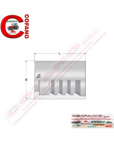 Boccola Ø 19 x Lungh 25.5 mm DN6 acciaio zincato