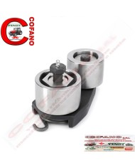 Tendicingia Agco completo V836864296