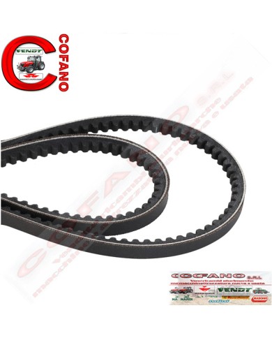 Kit cinghie 10x1235 3639672M1