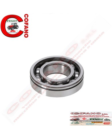Cuscinetto a sfere 6206 ZN Agco 3800219M1 Cuscinetto a sfere 6206 ZN Agco 3800219M1