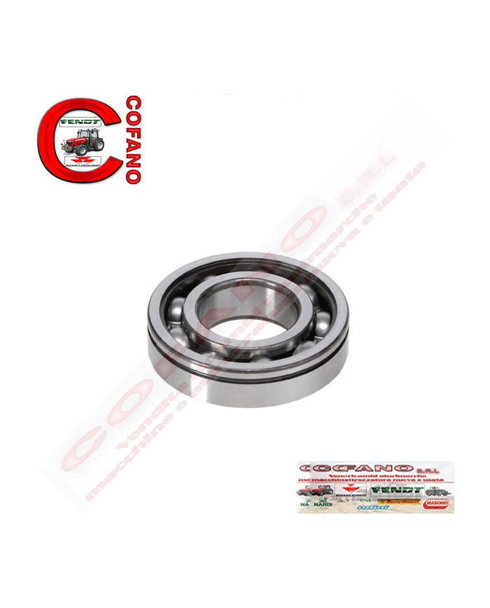 Cuscinetto a sfere 6206 ZN Agco 3800219M1