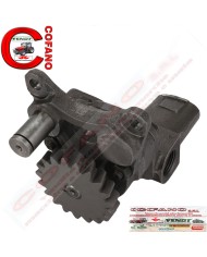 Pompa olio motore Agco 3637471M91