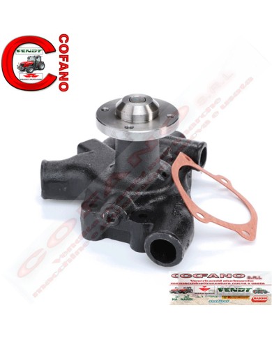 Pompa acqua Agco 4224105M91