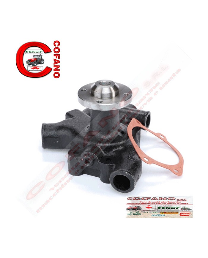 Pompa acqua Agco 4224105M91