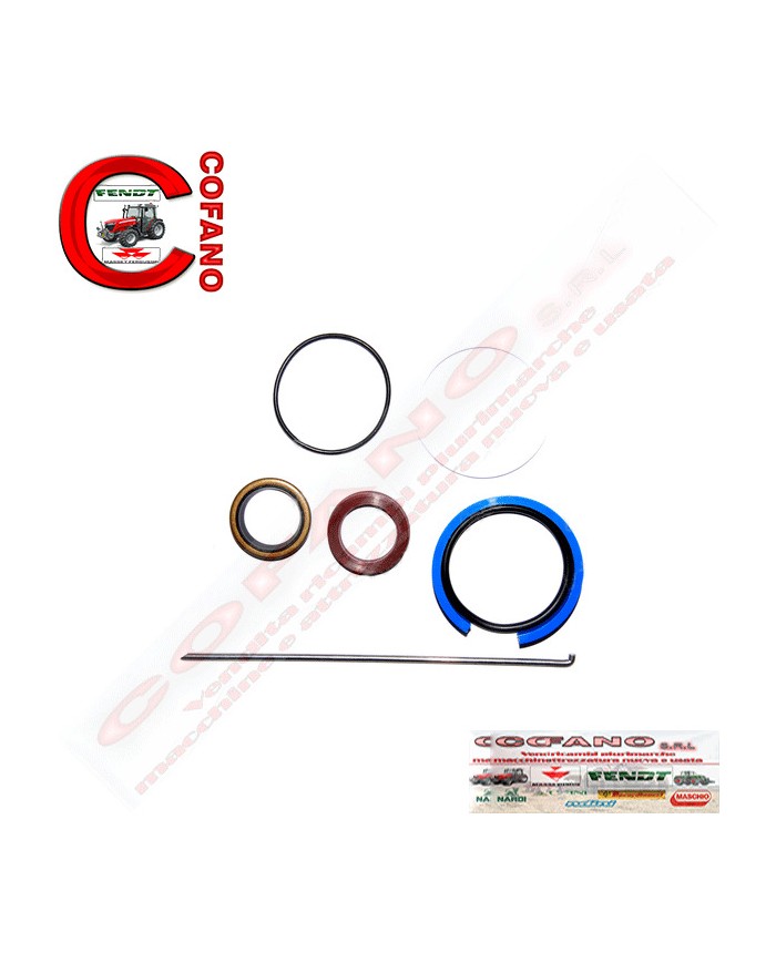 Kit guarnizioni cilindro sterzo