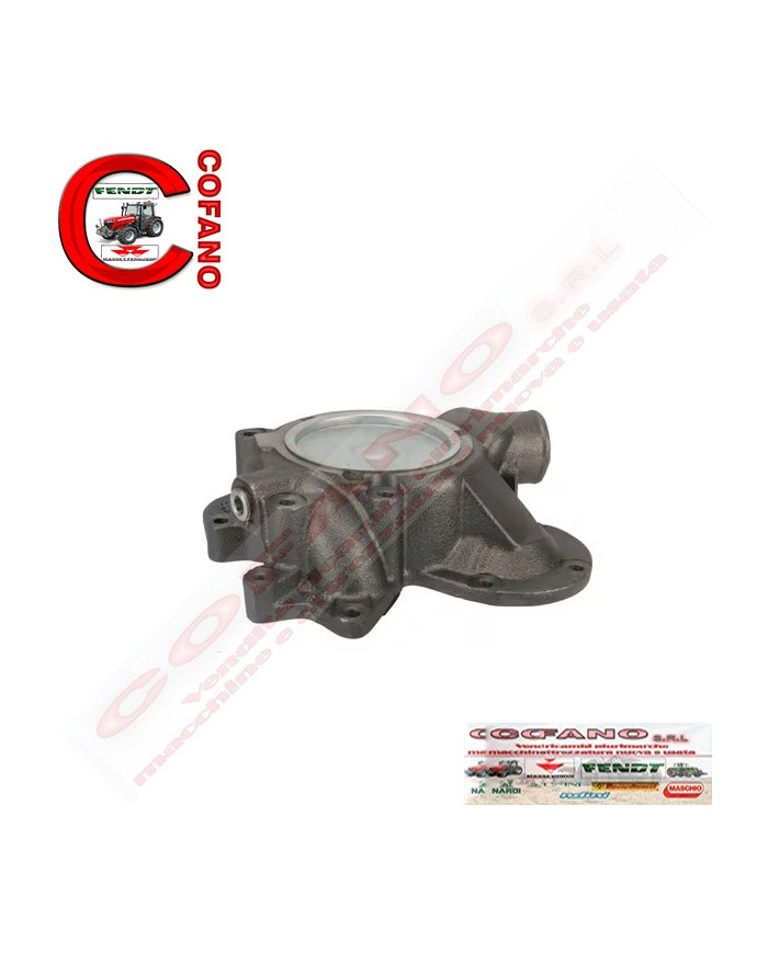 Pompa acqua Agco 4225392M91