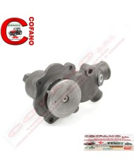 Pompa acqua Agco 4222071M91