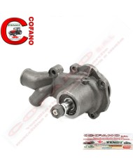 Pompa acqua Agco 4222071M91